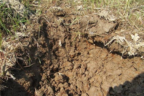 怎么進行土壤重金屬的檢測